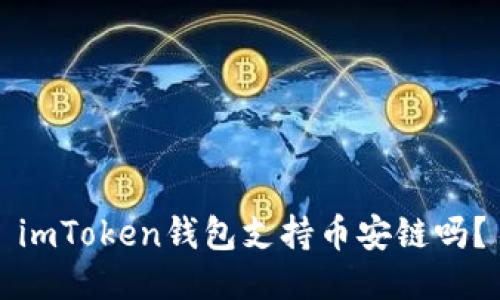 imToken钱包支持币安链吗？