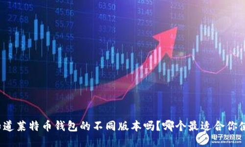 你知道莱特币钱包的不同版本吗？哪个最适合你使用？