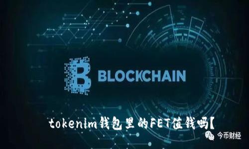   tokenim钱包里的FET值钱吗？