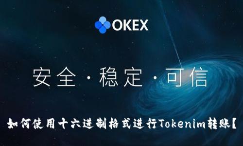 如何使用十六进制格式进行Tokenim转账？