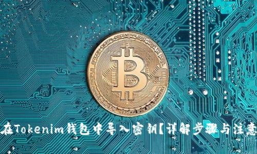 如何在Tokenim钱包中导入密钥？详解步骤与注意事项