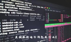 美国最新电子钱包是什么