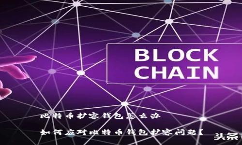 比特币扩容钱包怎么办

如何应对比特币钱包扩容问题？