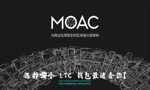 选择哪个 LTC 钱包最适合你？