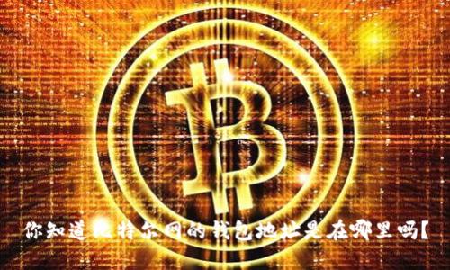 你知道比特尔网的钱包地址是在哪里吗？