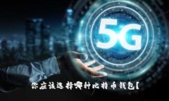 你应该选择哪种比特币钱