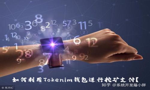 如何利用Tokenim钱包进行挖矿支付？