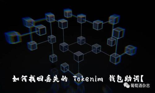 如何找回丢失的 Tokenim 钱包助词？
