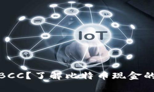 哪个钱包支持BCC？了解比特币现金的最佳存储方案