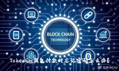 Tokenim钱包付款时忘记密码怎么办？