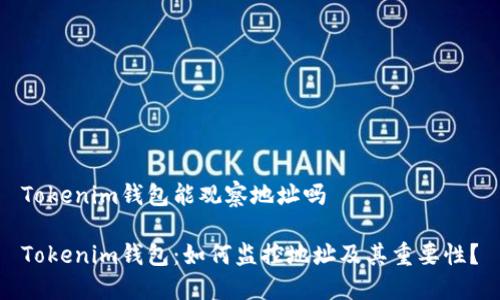 Tokenim钱包能观察地址吗

Tokenim钱包：如何监控地址及其重要性？