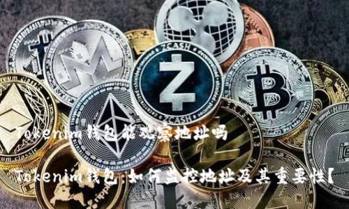 Tokenim钱包能观察地址吗

Tokenim钱包：如何监控地址及其重要性？