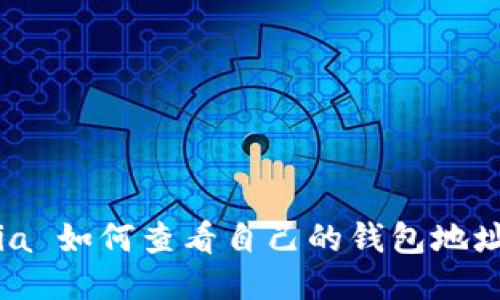 Sia 如何查看自己的钱包地址？