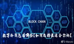 数字冷钱包有哪些？如何