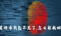 莱特币钱包不见了，怎么