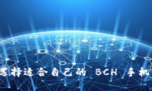 如何选择适合自己的 BCH 手机钱包？