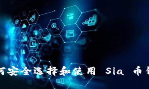  如何安全选择和使用 Sia 币钱包？