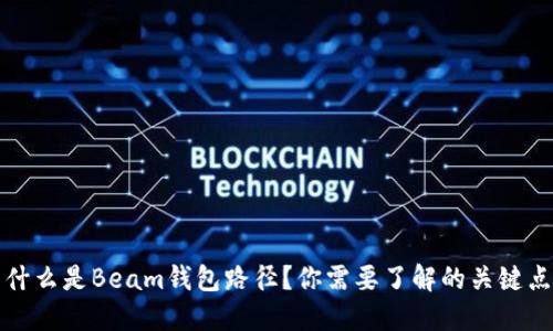 什么是Beam钱包路径？你需要了解的关键点