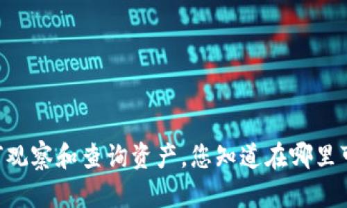 IM钱包如何观察和查询资产，您知道在哪里可以找到吗？