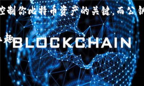 比特币钱包私钥公钥是每一个比特币用户在数字货币世界中的重要工具。随着比特币的不断发展和普及，理解这些基本概念变得尤为重要。接下来，我们将深入探讨比特币钱包的私钥、公钥，以及它们之间的关系和使用方式。

什么是比特币钱包？

比特币钱包可以被理解为一个软件程序或者应用，它帮助用户存储、发送和接收比特币。虽然钱包的名字让人到物理的钱包，但比特币的存储方式是数字化的。比特币实际上并不存储在钱包里，而是通过区块链上的记录来证明你的所有权。

私钥和公钥的基本概念

在了解比特币钱包的运作之前，必须理解私钥和公钥的概念。它们是形成钱包的两个关键组成部分。简单来说，公钥是用来生成比特币地址的，而私钥则是用来控制存储在该地址中的比特币。

想象一下，公钥就像是你银行账户的账号，大家可以通过它给你汇款。而私钥就像是你用来访问和管理银行账户的密码，如果没有它，你将无法进行任何交易。

私钥和公钥是如何生成的？

当你创建一个比特币钱包时，系统会随机生成一对密钥。首先，生成一个私钥，这个私钥是一串非常长且随机的数字和字母。例如，这个私钥可能是像“L1aUj6HTsystemv9jHEtJ2bieQGWReD1DnN4”这样复杂的字符串。要注意，私钥一定要妥善保管，丢失私钥就意味着丢失了相应的比特币。

接着，从这个私钥中可以通过算法生成一个对应的公钥。公钥是从私钥导出的，但该过程是单向的，意味着你无法通过公钥反推出私钥。这确保了你的资金安全，只有拥有私钥的人才能发起交易。

私钥是什么？

现在详细说说私钥。私钥在比特币世界中就像是钥匙，如果有人拿到了你的私钥，那么他们就能随意访问你的比特币资产。私钥要足够复杂，才能确保他人无法轻易破解。

私钥的安全性非常重要，所以大多数用户都会采取各种措施来保护它，比如使用冷存储（离线钱包），将私钥写下来保存，或者使用特定的硬件钱包。

公钥的作用和特性

接下来说说公钥。公钥是从私钥生成的，通常在交易中是公开的。它可以用来验证交易的真实性。在比特币网络中，当你发送比特币时，接收方只需知道你的公钥，就能确认这笔交易是合法的，因为公钥可以证明你是该比特币地址的合法持有者。

公钥不会泄露你的私钥，换句话说，即便别人获得了你的公钥，他们也无法控制你的比特币。因此，公钥可以安全地分享，而私钥则应当谨慎保管。

如何安全管理私钥和公钥？

安全地管理私钥和公钥是使用比特币钱包的基本要求。这里有几个实用的小贴士，帮助你保护投资。

ul
    li使用硬件钱包：硬件钱包是存储私钥的物理设备，它们能够提供额外的安全层。/li
    li冷存储：将私钥存储在不连接互联网的设备上，避免黑客攻击。/li
    li加密备份：在保存私钥的同时，可以将其加密后备份，确保在设备丢失或损坏时，依然能找回。/li
    li多重签名钱包：使用多重签名技术，可以设置需要多个密钥才能完成交易，提高安全性。/li
/ul

私钥丢失后的后果

如果你不小心丢失了私钥，那么无论你对比特币地址的所有权有多么确认，你将再也无法访问这些比特币。比特币是去中心化的，不存在任何第三方机构可以帮助你恢复。因此，确保私钥的安全和完整，是每位比特币用户的首要任务。

总结

理解比特币钱包的结构以及私钥和公钥的基本概念，对于每个想要参与数字货币世界的用户都是至关重要的。私钥是你访问和控制你比特币资产的关键，而公钥则用于验证和接收比特币。

记住，保持私钥的安全是保护自己资产的第一步。通过采用合适的安全措施，你可以有效地降低风险，享受比特币带来的便利与乐趣。 

bialti如何安全使用比特币钱包中的私钥和公钥？