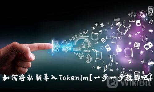 如何将私钥导入Tokenim？一步一步教你吧！