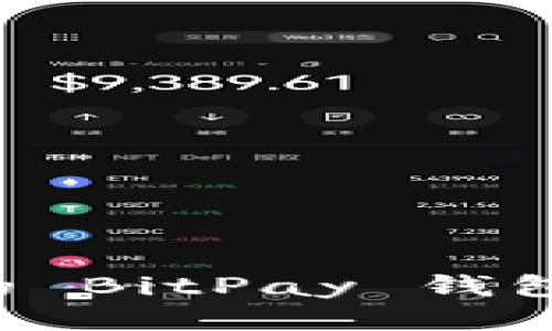 为什么我的 BitPay 钱包无法转出？
