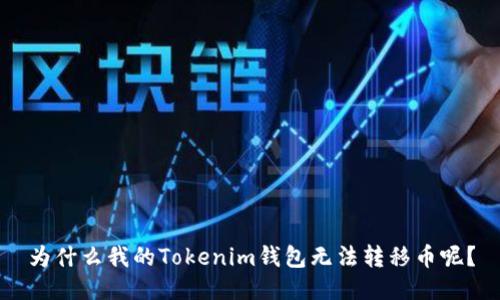 为什么我的Tokenim钱包无法转移币呢？