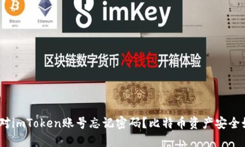 : 如何应对imToken账号忘记密码？比特币资产安全如何保障？