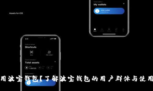 谁在用波宝钱包？了解波宝钱包的用户群体与使用场景