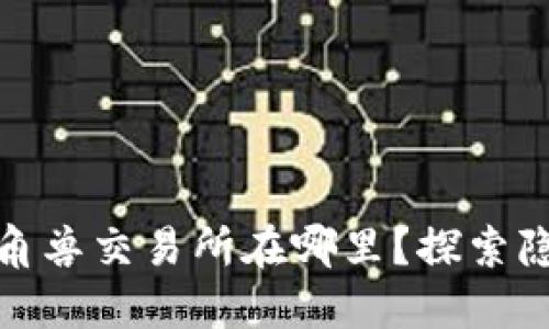 Title: tokenim钱包独角兽交易所在哪里？探索隐藏的数字资产交易平台