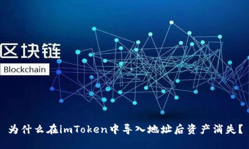 为什么在imToken中导入地址后资产消失？