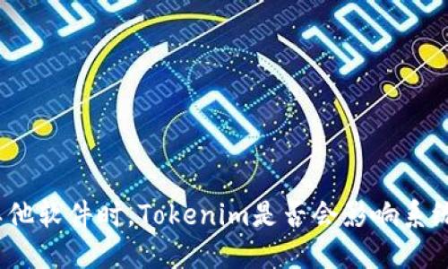 安装其他软件时，Tokenim是否会影响系统安全？