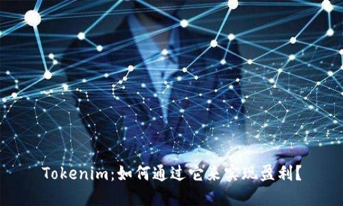 Tokenim：如何通过它来实现盈利？