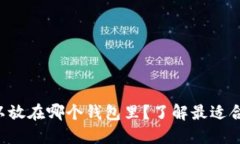 比特元可以放在哪个钱包