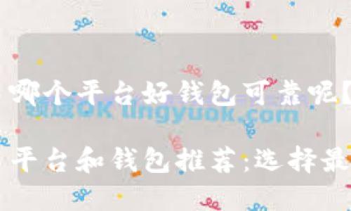 虚拟币交易哪个平台好钱包可靠呢？

虚拟币交易平台和钱包推荐：选择最可靠的方式