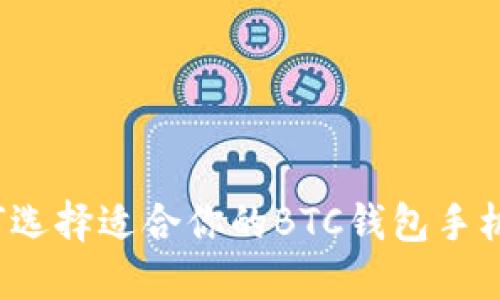如何选择适合你的BTC钱包手机端？