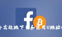 如何安全高效地下载和使