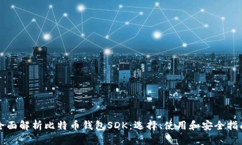 全面解析比特币钱包SDK：选择、使用和安全指南