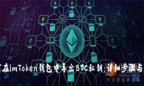 如何在imToken钱包中导出BTC私钥：详细步骤与指南