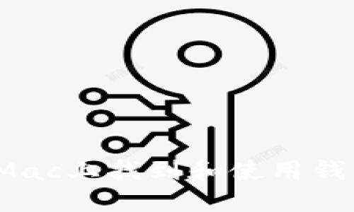 如何在Mac上找到和使用钱包应用？