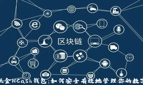 
超级现金HCash钱包：如何安全有效地管理你的数字资产