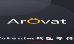 如何解决Tokenim钱包等待打