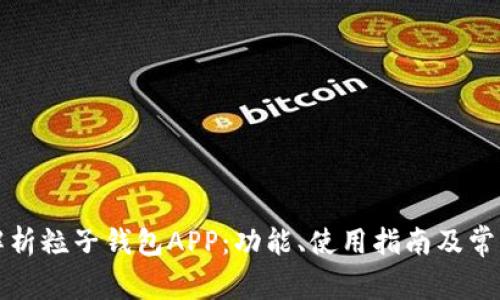 全面解析粒子钱包APP：功能、使用指南及常见问题