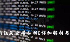 Tokenim 钱包是否有私钥？详