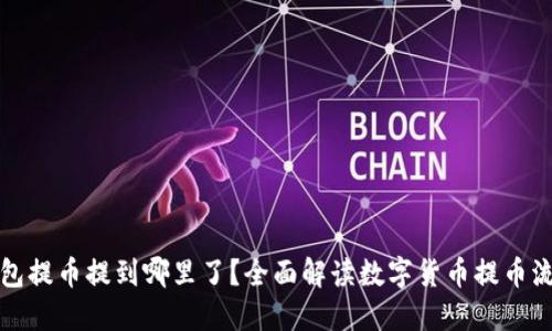 钱包提币提到哪里了？全面解读数字货币提币流程