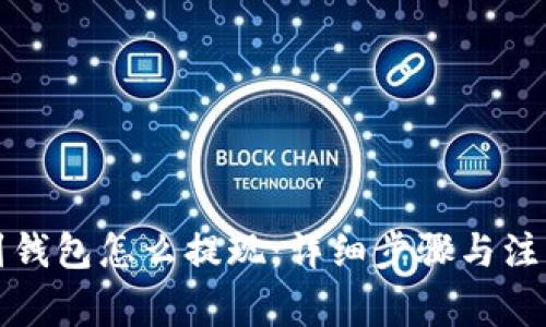 提币到钱包怎么提现：详细步骤与注意事项