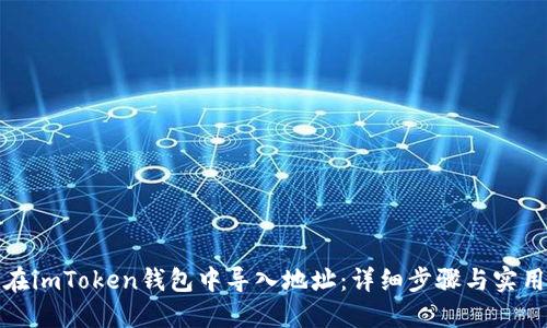 如何在imToken钱包中导入地址：详细步骤与实用技巧