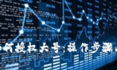 Tokenim如何授权大号：操作