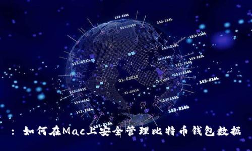 : 如何在Mac上安全管理比特币钱包数据