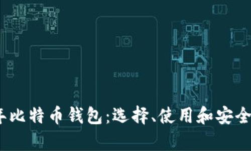 : 2013年比特币钱包：选择、使用和安全性全解析